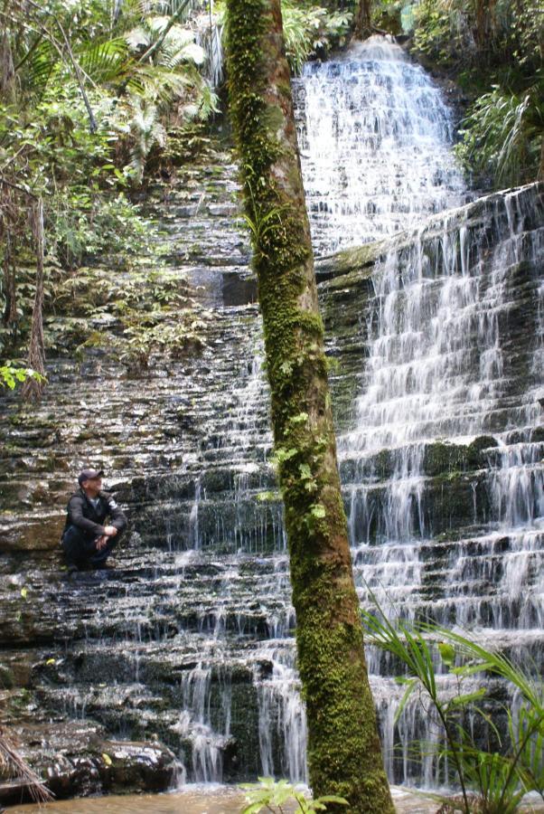 Woodhouse Mountain Lodge Warkworth Εξωτερικό φωτογραφία