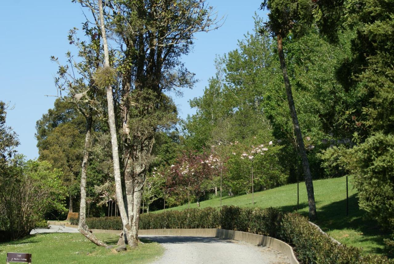 Woodhouse Mountain Lodge Warkworth Εξωτερικό φωτογραφία